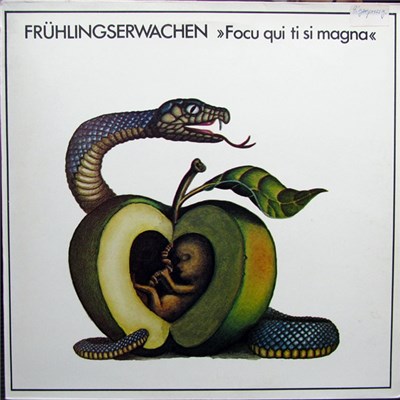 Frühlingserwachen - Focu Qui Ti Si Magna download mp3 flac