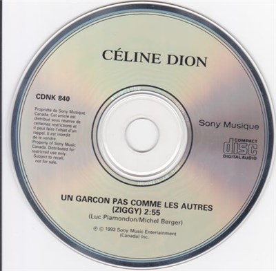 Céline Dion - Un Garçon Pas Comme Les Autres (Ziggy) download mp3 flac