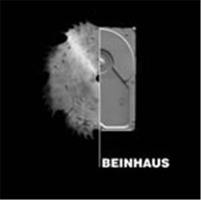 Beinhaus - Beinhaus.exe download mp3 flac