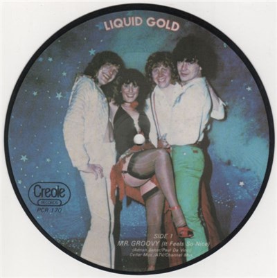 Liquid Gold - Mr Groovy (It Feels So Nice) download mp3 flac