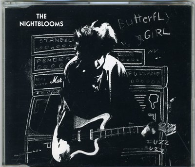 The Nightblooms - Butterfly Girl download mp3 flac