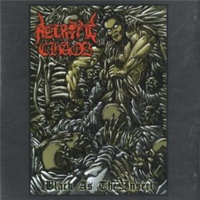 Necrotic Chaos - Black As The Insect download mp3 flac