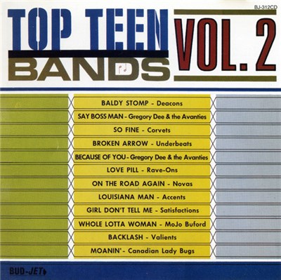 Various - Top Teen Bands Vol. 2 download mp3 flac