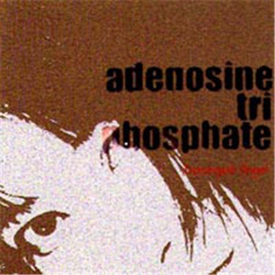 Adenosine Tri Phosphate - Deranged Angel download mp3 flac