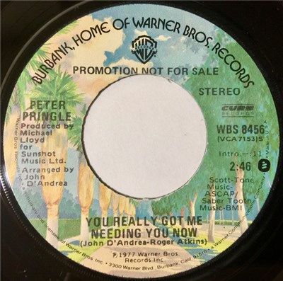 Peter Pringle - You Really Got Me Needing You download mp3 flac