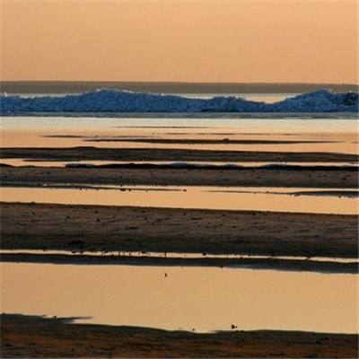 VS - Save Our Sounds download mp3 flac