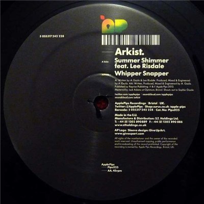 Arkist Feat. Lee Risdale - Summer Shimmer download mp3 flac