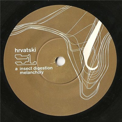 Hrvatski - Insect Digestion Melancholy download mp3 flac