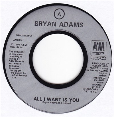 Bryan Adams - All I Want Is You download mp3 flac