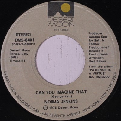 Norma Jenkins - Can You Imagine That / Love Jones download mp3 flac