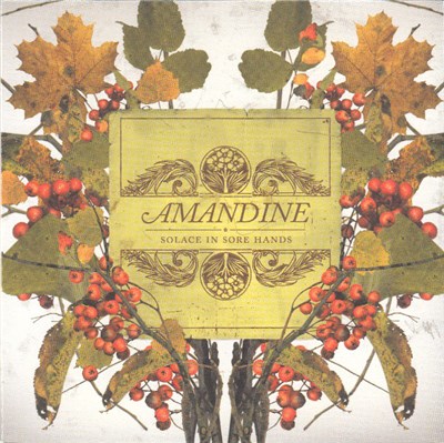 Amandine - Solace In Sore Hands download mp3 flac