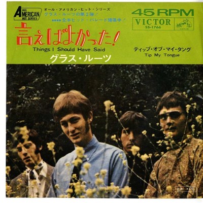 The Grass Roots - Things I Should Have Said download mp3 flac