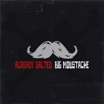 Already Salted - Big Moustache download mp3 flac