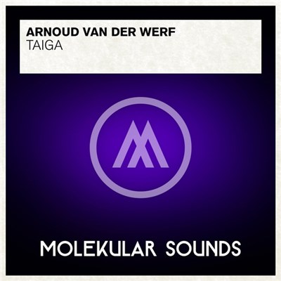 Arnoud van der Werf - Taiga download mp3 flac