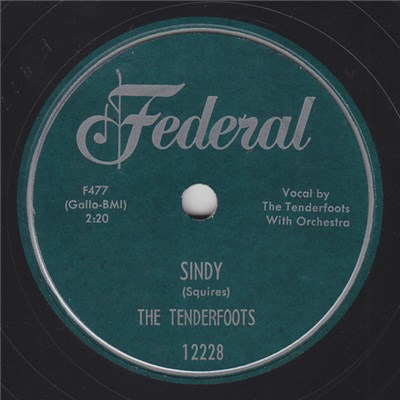 The Tenderfoots - Sindy / Sugar Ways download mp3 flac