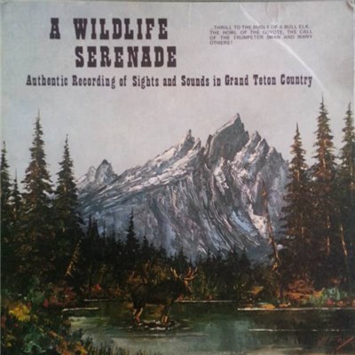 No Artist - A Wildlife Serenade: Authentic Recording Of Sights And Sounds In Grand Teton County download mp3 flac