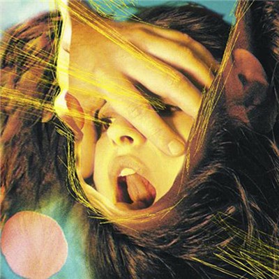 The Flaming Lips - Embryonic download mp3 flac