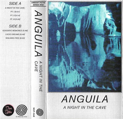 Anguila - A Night In The Cave download mp3 flac