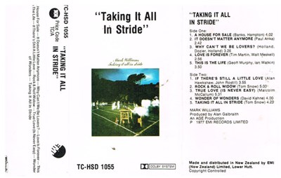 Mark Williams - Taking It All In Stride download mp3 flac