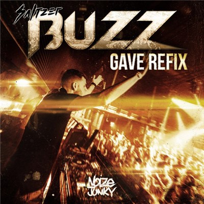 Saltzer - Buzz (Gave Refix) download mp3 flac