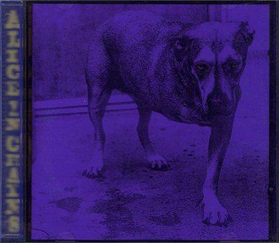 Alice In Chains - Alice In Chains download mp3 flac