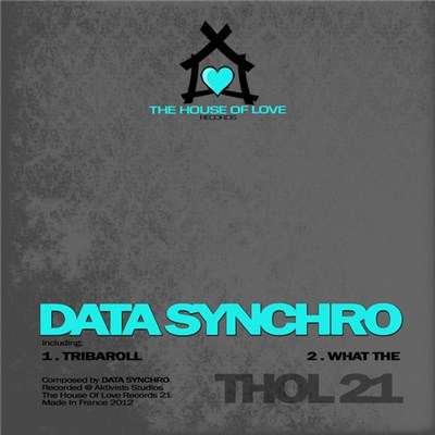 Data Synchro - What The Ep download mp3 flac