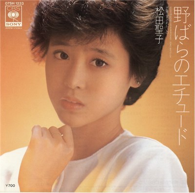 松田聖子 - 野ばらのエチュード download mp3 flac