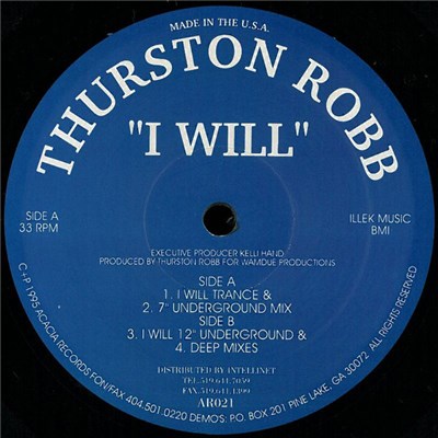 Thurston Robb - I Will download mp3 flac