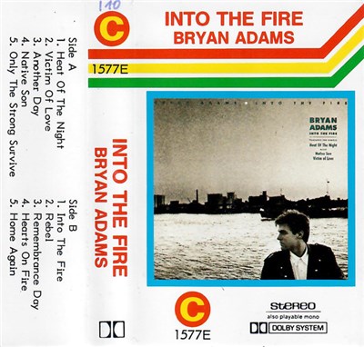 Bryan Adams - Into The Fire download mp3 flac