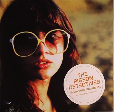 The Pigeon Detectives - Everybody Wants Me download mp3 flac