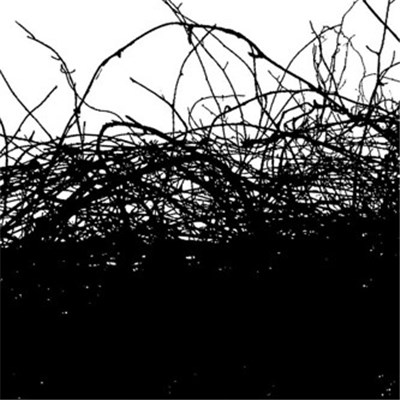 Flint Kids - The Cantor Dust (Remixes) download mp3 flac