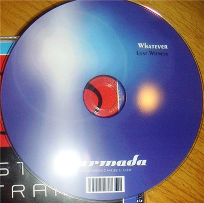 Lost Witness - Whatever download mp3 flac