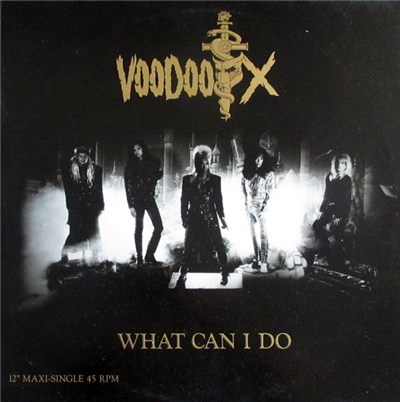 Voodoo X - What Can I Do download mp3 flac