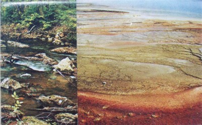 Imaginary Softwoods - The Invisible Cloud Container download mp3 flac