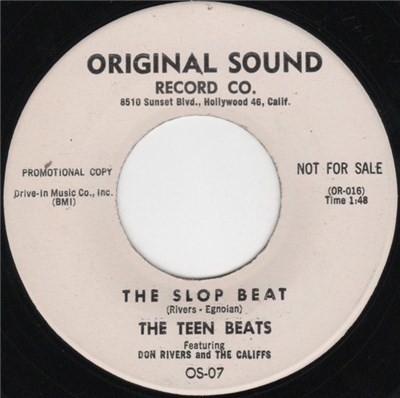 The Teen Beats - The Slop Beat download mp3 flac