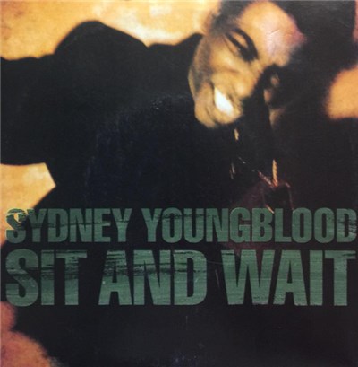 Sydney Youngblood - Sit And Wait download mp3 flac