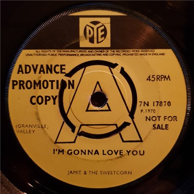Jamie & The Sweetcorn - I'm gonna love you promo download mp3 flac