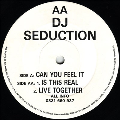 DJ Seduction - Can You Feel It / Is This Real / Live Together download mp3 flac