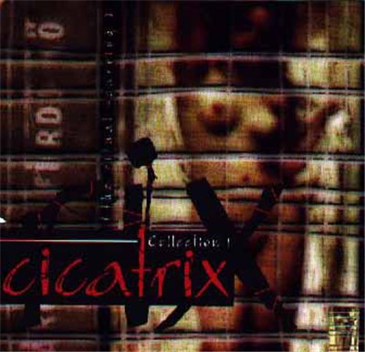 Various - Cicatrix Collection 1 (The Ritual Scarring) download mp3 flac