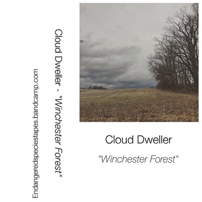 Cloud Dweller - Winchester Forest download mp3 flac