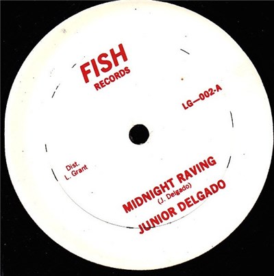 Junior Delgado - Midnight Raving / 365 Days download mp3 flac