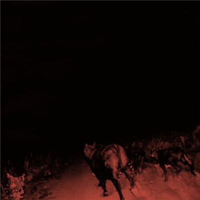 Bambara - Shadow On Everything download mp3 flac