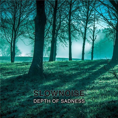 Slownoise - Depth Of Sadness download mp3 flac