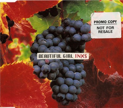 INXS - Beautiful Girl download mp3 flac
