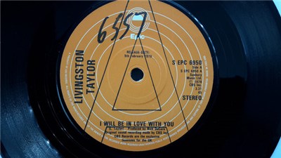 Livingston Taylor - I Will Be In Love With You download mp3 flac