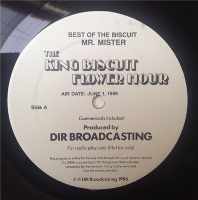 Mr. Mister - The King Biscuit Flower Hour download mp3 flac