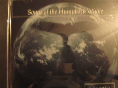 Humpback Whale - Songs Of The Humpback Whale download mp3 flac