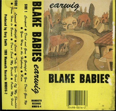 The Blake Babies - Earwig download mp3 flac