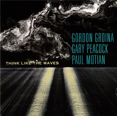 Gordon Grdina / Gary Peacock / Paul Motian - Think Like The Waves download mp3 flac