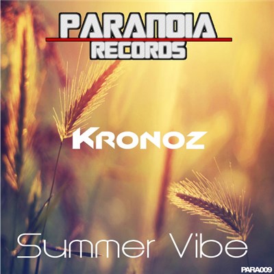 Kronoz - Summer Vibe download mp3 flac